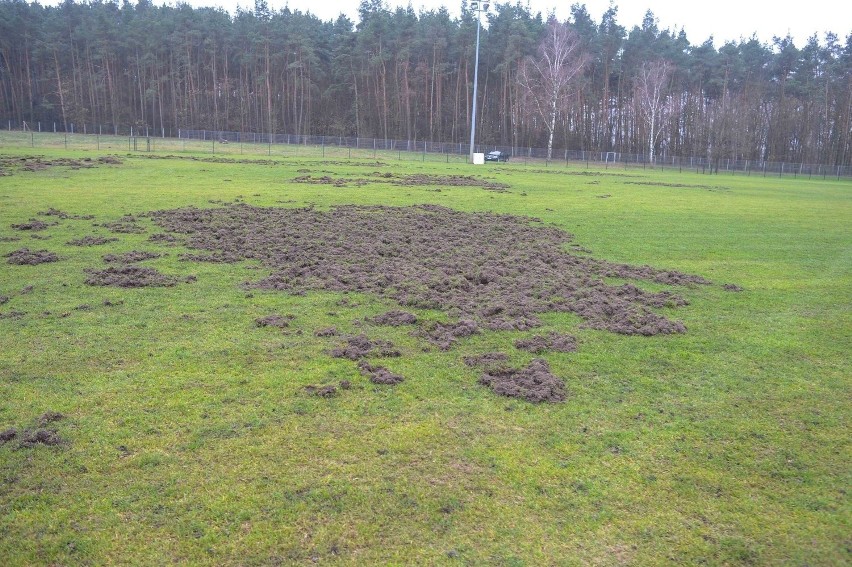 Zniszczenia po pierwszych dwóch wizytach kosztowały miasto...