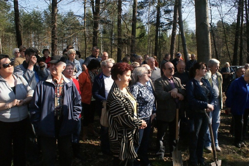 Sadzenie Lasu Europejskiego w Dąbrowie Górniczej w 2015 i...