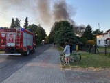 Pożar przy ulicy Borkowskiej w Grzybowie. Płonęła przyczepa kempingowa [ZDJĘCIA]