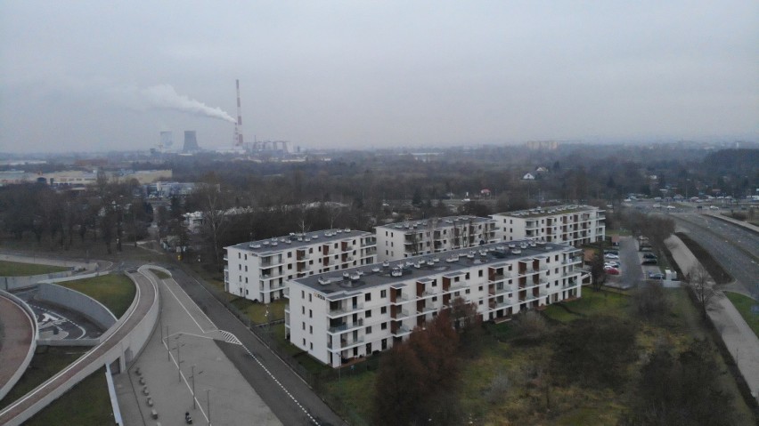 Kraków. Ulica Lema kiedyś była ścierniskiem, dziś tętni życiem otoczona osiedlami [ZDJĘCIA]