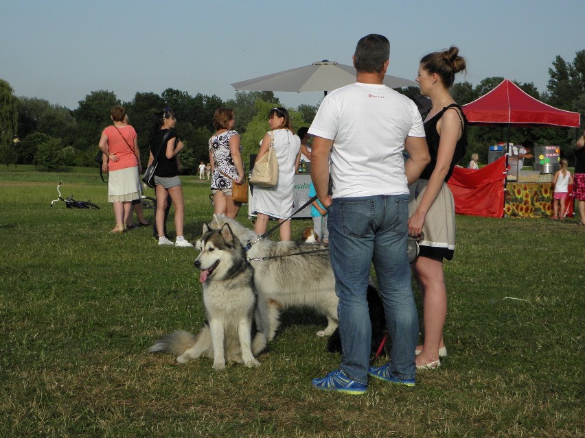 Piknik Pod Psem w Żorach w Cegielni