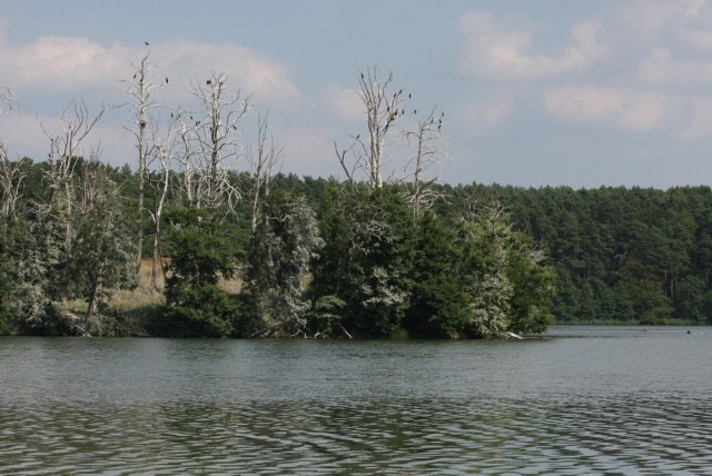 Jezioro to centralny punkt rezerwatu Lubiatowskie Uroczyska