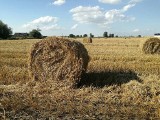 Ukradł baloty z pola. Początkowo twierdził, że je... pożyczył