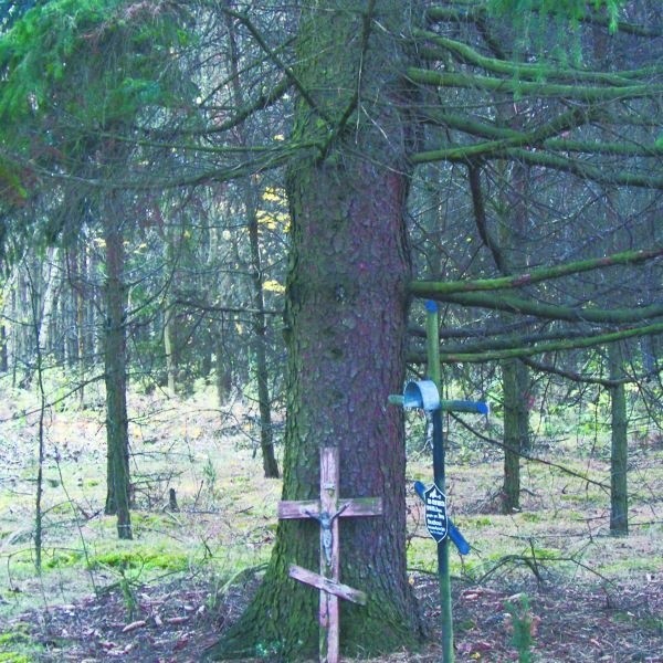 Tak wygląda dziś miejsce, gdzie znaleziono ciało kapłana