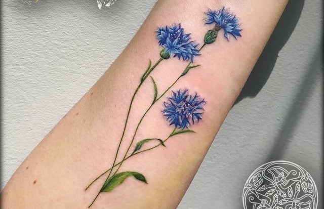 Najpiękniejsze tatuaże botaniczne, wzory z motywami roślinnymi.Dzieło Studia tatuażu artystycznego Drakkar z Tarnowskich Gór.Zobacz kolejne zdjęcia. Przesuwaj zdjęcia w prawo - naciśnij strzałkę lub przycisk NASTĘPNE