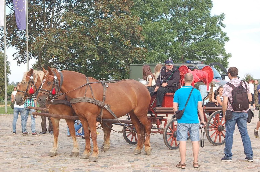 Batalia w Będominie. Zobacz zdjęcia