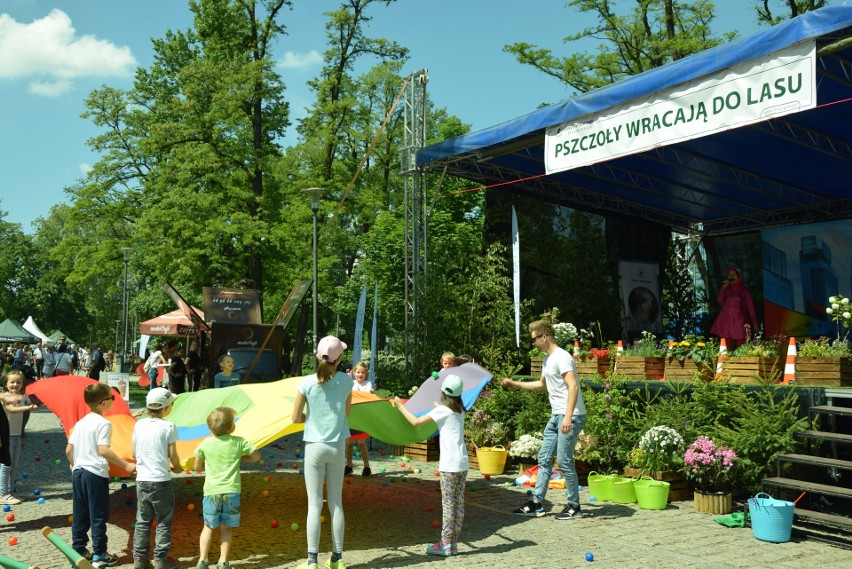 Leśnicy na Wyspie Słodowej rozmawiali o lasach i o pszczołach