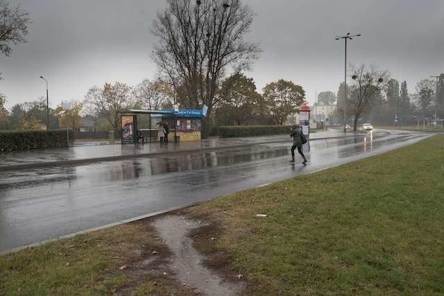 Piesi skracają drogę w miejscach niedozwolonych. W ub. roku było to przyczyną 11 wypadków w regionie.