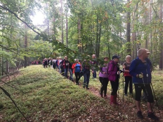 Marsz Nordic Walking pn. „Barwy jesieni"