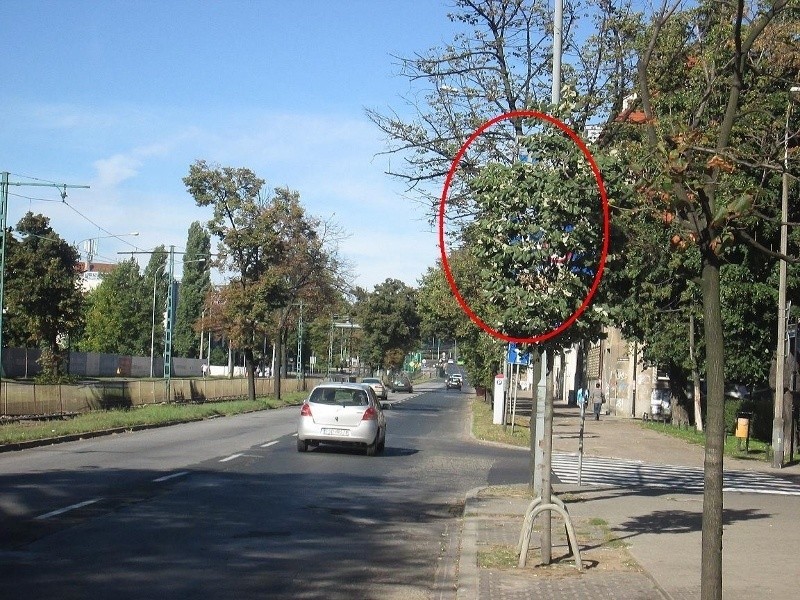 Na ul. Królowej Jadwigi drzewa zasłaniają znaki drogowe