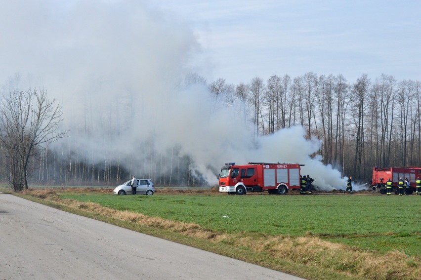 Pożar w Żarczycach Małych w gminie Małogoszcz (zdjęcia, wideo)