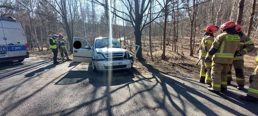 W czwartek (10 marca) samochód osobowy uderzył w drzewo, do...