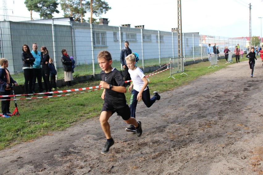 W lasku przy stadionie w Lęborku biegali przełajowcy [zdjęcia]