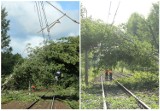 Powalone drzewa w okolicach Dobiegniewa zablokowały ruch pociągów na trasie Poznań - Szczecin