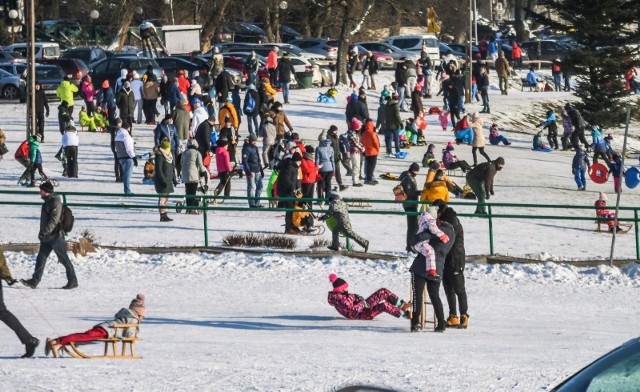 Tak wyglądał bydgoski Myślecinek w ostatni dzień ferii zimowych 2021. Miłośnicy sanek tłumnie korzystali z pokrytego śniegiem stoku, bawiąc się całymi rodzinami.