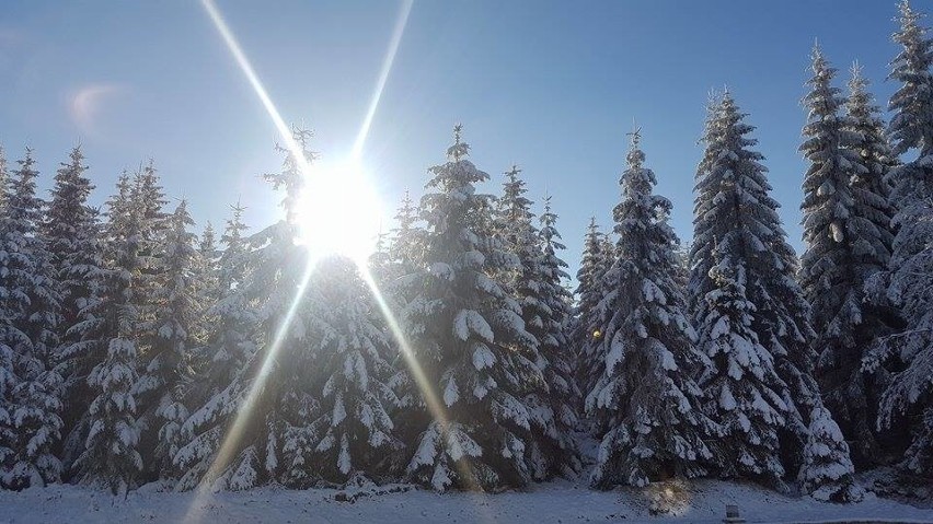 Zima w Szklarskiej Porębie - Jakuszycach