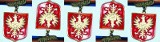 Kolejne odznaki "Za zasługi dla miasta Ostrołęki" przyznane. Nie obyło się bez kontrowersji