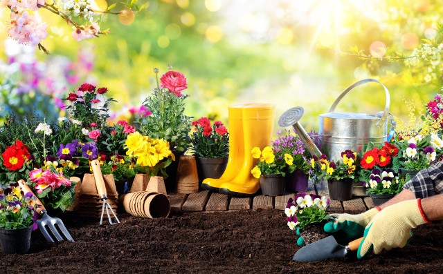 Jak przygotować ogród na wiosnę? To dobry moment na rozpoczęcie prac.
