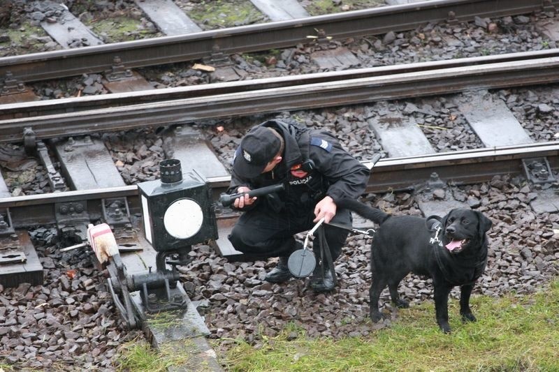 PKP atak terrorystów