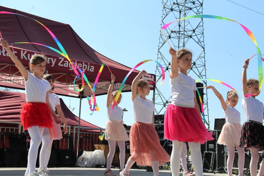 Rodzinny piknik hutniczy w parku Podlesie w Dąbrowie...