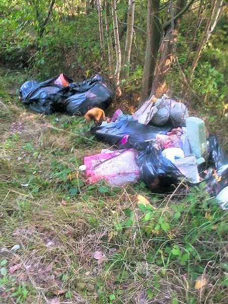 Strażnicy ujawnili aż cztery dzikie wysypiska śmieci na...