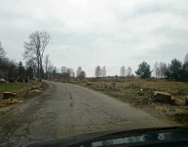 Droga między Głobinem a Dobieszewem. Zdjęcie zrobiono po wycięciu drzew, tuż przed rozpoczęciem remont.