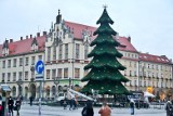 Wrocławskie choinki. Oto ta najnowsza oraz drzewka i stożki z poprzednich lat [ZDJĘCIA]