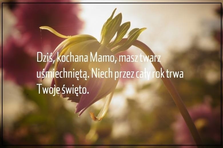 Dzień Matki 26.05.2019: Życzenia dla mamy na kartki i nowe...