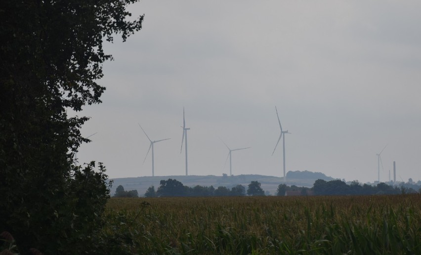 Farma Wiatrowa Pomerania rośnie w oczach i będzie jedną z największych w Polsce. Inwestor przygotował niesamowity filmik [zdjęcia, wideo]