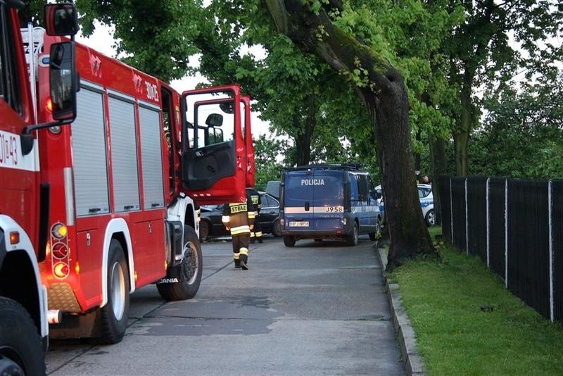 BMW wylądowalo na drzewie