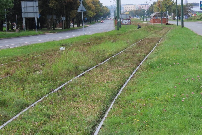 W Dąbrowie Górniczej wymienione zostanie całe torowisko...