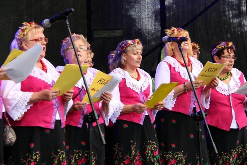 Miejskie dożynki odbywają się w niedzielę w Dąbrowie...