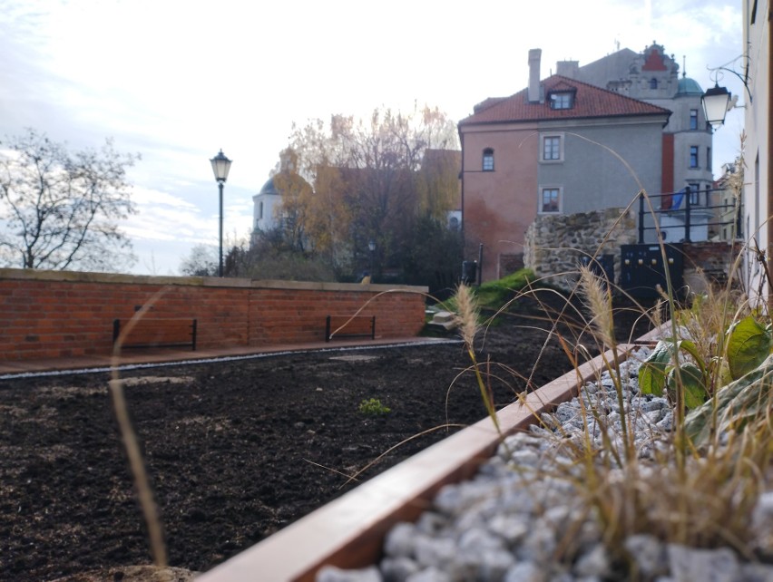 Więcej zieleni na Starym Mieście. Skwer „Pod Akcją” już gotowy. Zobacz jak wygląda