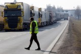 Naklejki wizowe. Banalny problem, przez który może dojść do upadku branży transportu ciężarowego