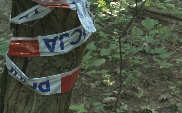 W lesie w Sosnowcu mężczyźni znależli ludzką głowę. Policja...