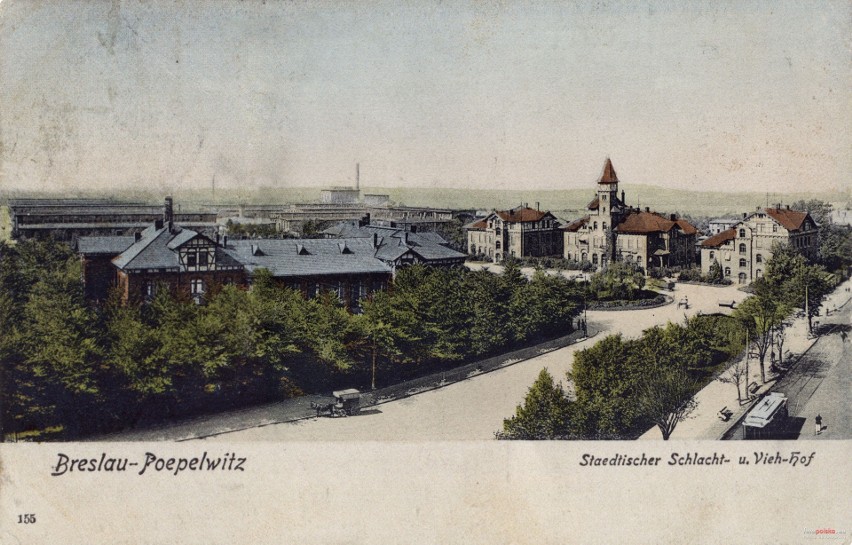 Ulica Legnicka, dawna rzeźnia miejska, okolice obecnej...