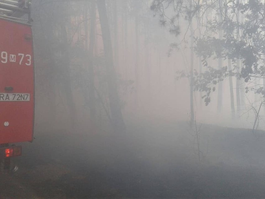 Olbrzymi pożar lasów w gminie Odrzywół.