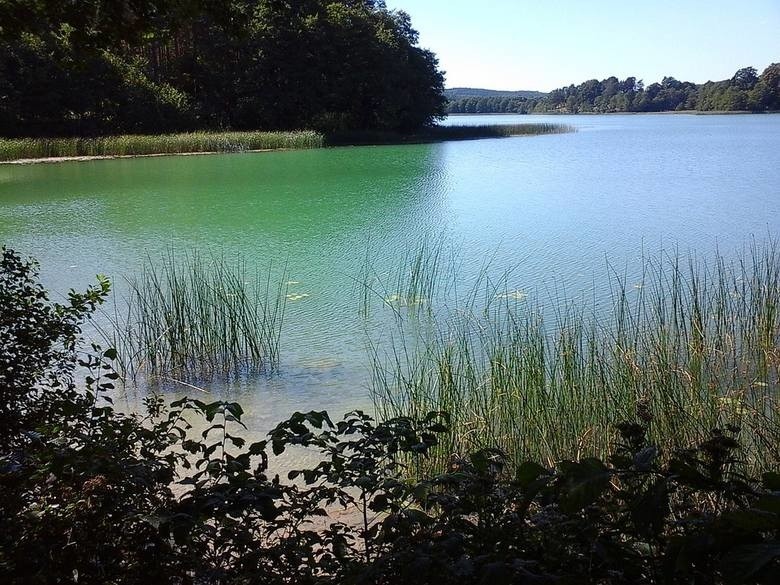 Pogoda na Majówkę 2018: Jaka pogoda będzie w długi weekend...