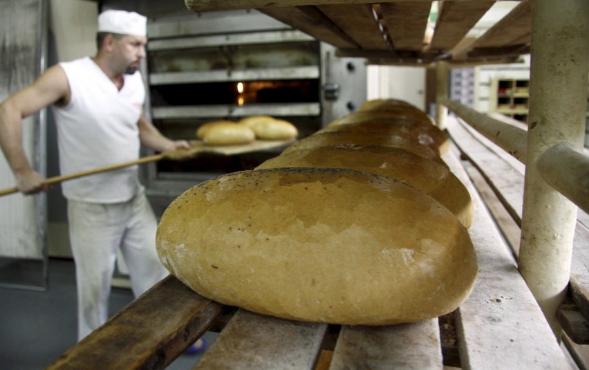 Z dobrej mąki dobry chleb. Zdradzamy sekrety udanego wypieku (ZDJĘCIA)