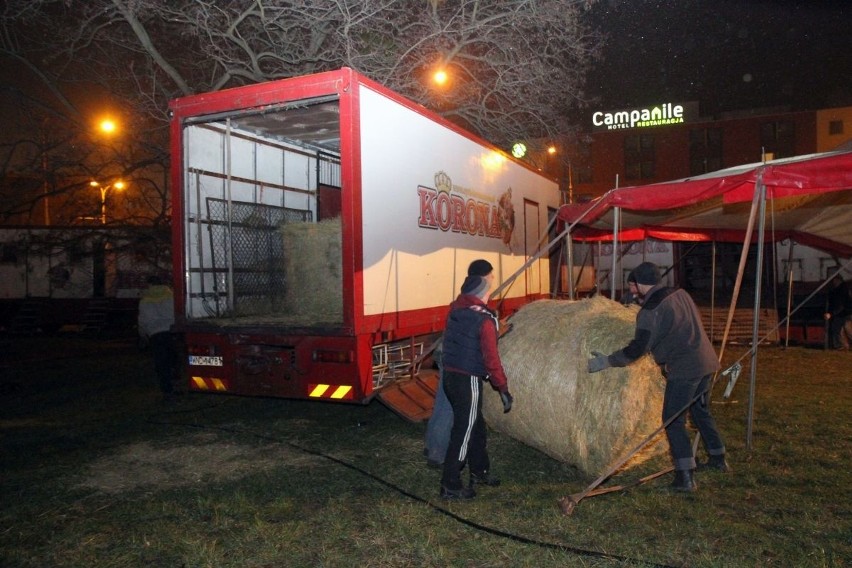 Cyrk Korona instaluje się we Wrocławiu na terenie między ul....