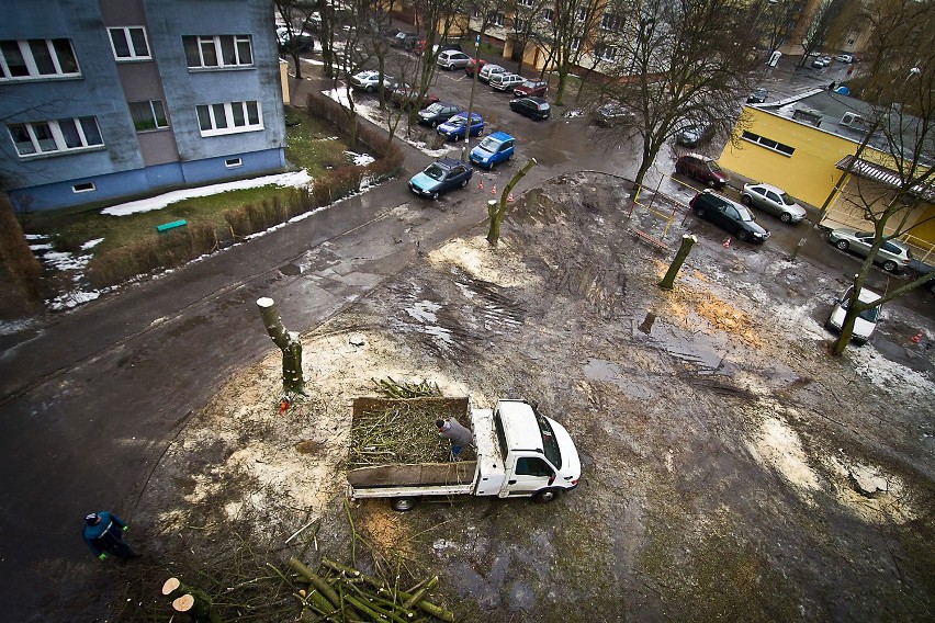 Drzewa padają, rosną parkingi