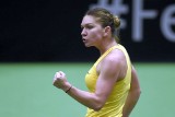 Simona Halep z Igą Świątek zagrają w Radomiu! To będzie HIT! 