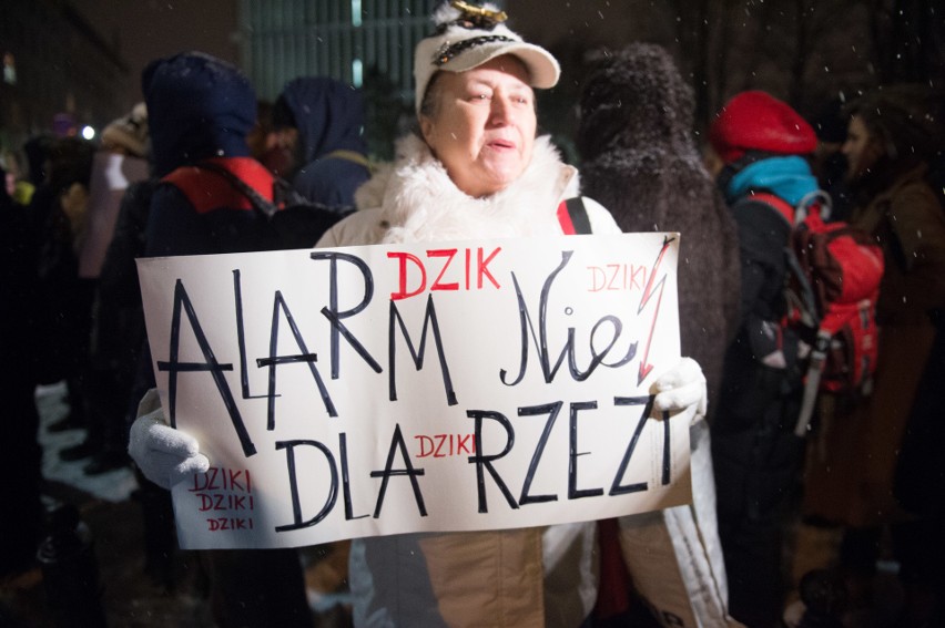 Protest przeciw odstrzałowi dzików pod Sejmem (9/01/2019)