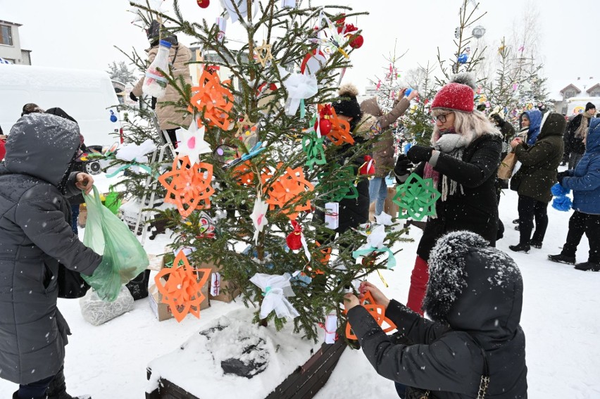 38 cudownych choinek stanęło na Rynku w Daleszycach. Tak podtrzymują świąteczną tradycję w gminie Daleszyce. Zobacz zdjęcia