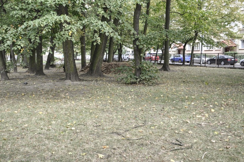 Ulica Mickiewicza. Ogródek Jordanowski. Siłownia pod chmurką i świetlica terapeutyczna (zdjęcia) 