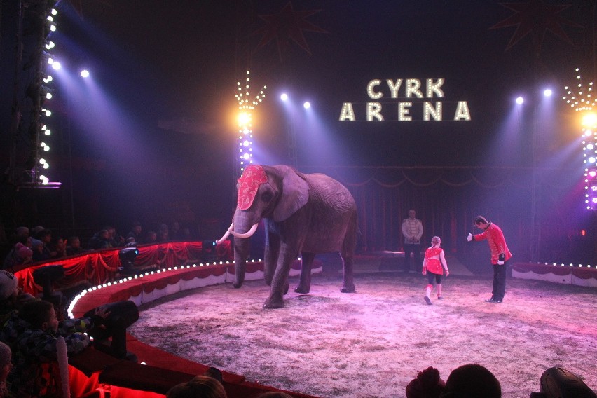 Cyrk Arena przyjechał do Mysłowic. Nie zabrakło występów ze...