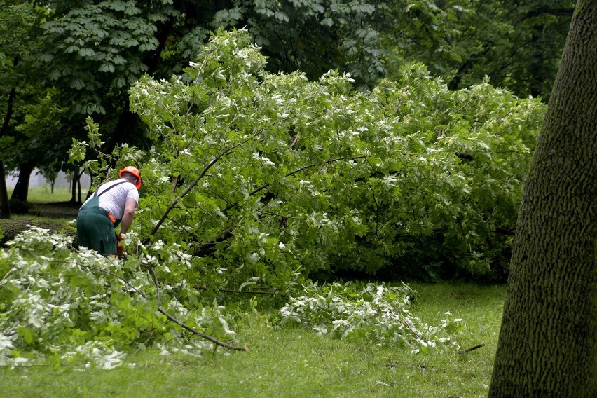 Park na Plantach w Radomiu ucierpiał w czasie ulewy. Zobacz jak teraz wygląda