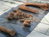 Znaleźli ludzkie kości w gminie Krasocin. Jeszcze raz rozkopali drogę 