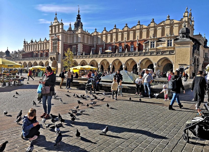Kraków. Można wylicytować miejsca pod słupy reklamowe i zarazem kioski w samym sercu miasta