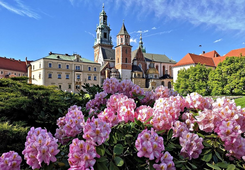 Tak wygląda Wawel pod koniec maja 2021